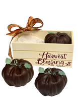 Load image into Gallery viewer, Harvest Blessings Bin