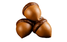 Load image into Gallery viewer, Accorn Belgian Chocolate Bonbons