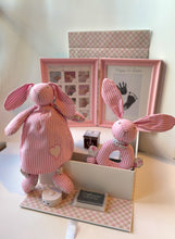 Load image into Gallery viewer, Luxury Newborn Sweet Gift Set