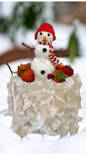Load image into Gallery viewer, Frost Swonmam Deligth