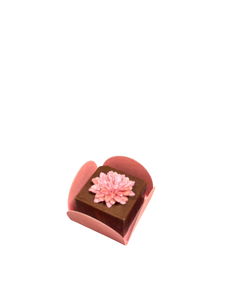 Dahlia and deligth