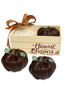 Harvest Blessings Bin