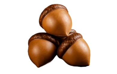Accorn Belgian Chocolate Bonbons