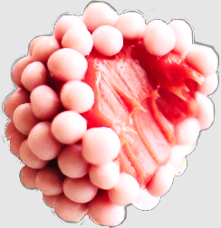 Strawberry brigadeiro