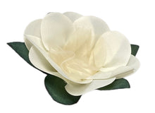 Load image into Gallery viewer, Cloth Daisy Wrapping - Beige