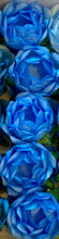 Load image into Gallery viewer, Bela Wrapping - Medium Blue