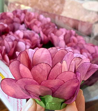 Daisy Wrapping - Antique Pink 1