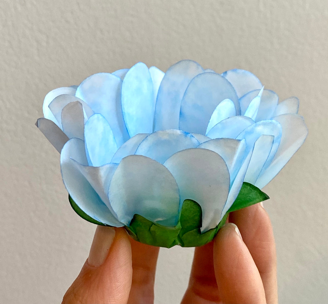 Daisy Wrapping - Baby Blue