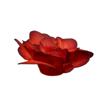 Load image into Gallery viewer, Cloth Flower Wrapping - Red
